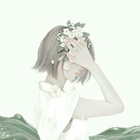 两元封面