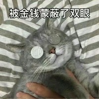 一不小心就穿越