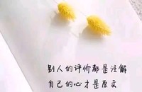 人设读者自定义