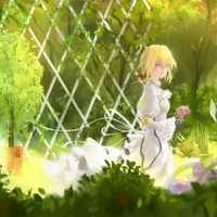 撫慰青春
