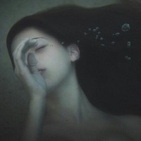 情感目录