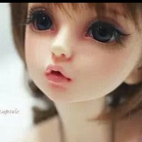 不同文