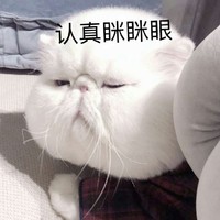 无一幸免