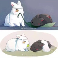 半宠半虑半甜
