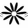 藝術(shù)之星