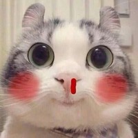 你开心就好