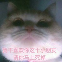 不搭月练
