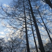 只剩下對音樂的熱愛