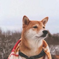 一群戏精