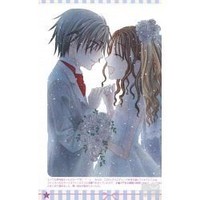 蜜枣文