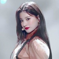 狐狸少女与明星