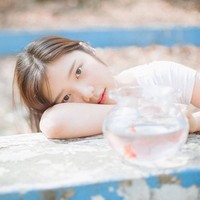 照片之类