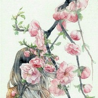 焱淼森出品