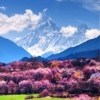 女主冰公主与王默