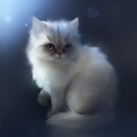 貓奴必看