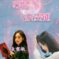 苏锦杂货铺