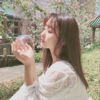 小甜文合集