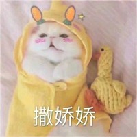 花轲