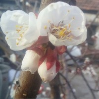 爱不分性别