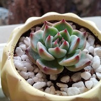 困困邀約駐站