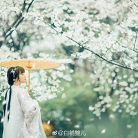 十里樱花