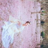 言情詩