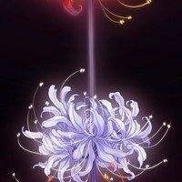 蘇茉的身世