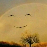 想打死作者