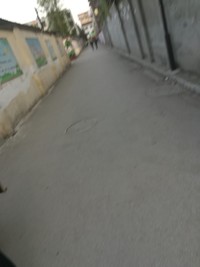 侦探社小说