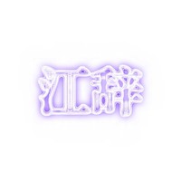 江辭的寵粉日常