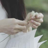 女主无好结局