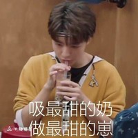 明星表情包