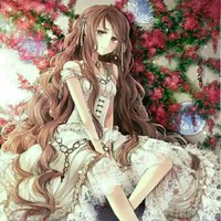 花朵盛開(kāi)