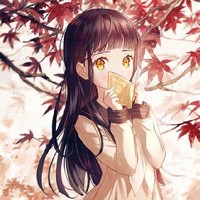 多功能女主
