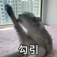 影视同人古代言情