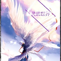 灵武者的世界