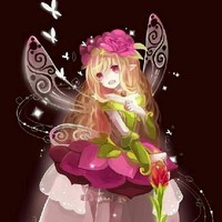 夏安安是精灵王