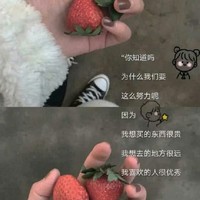 总裁爱上大学生