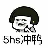 5hs