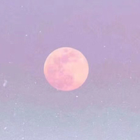 沈昭昭原创