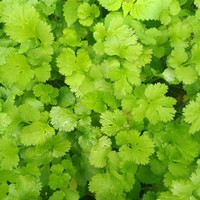 穿越l搞笑l玄幻