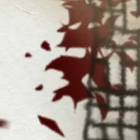 包藏