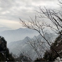 張藝興顧阮