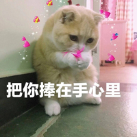 仙女团之我的男友系列