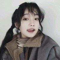 ins女头