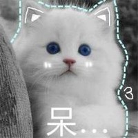 蠻妻太倔了怎么辦