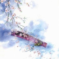 攝驗
