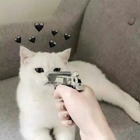 仙狂协会