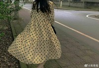陆瑾年乔安好