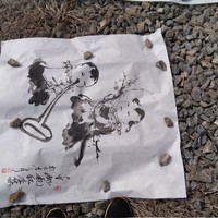 CP不為主